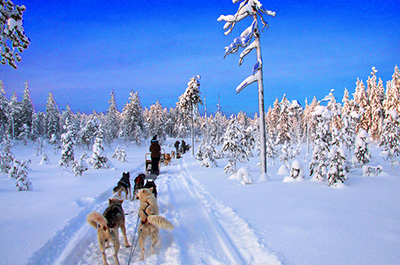 Lapland_We_Organize