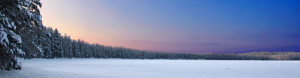 Lapland_We_Organize