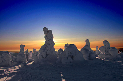 Lapland_We_Organize